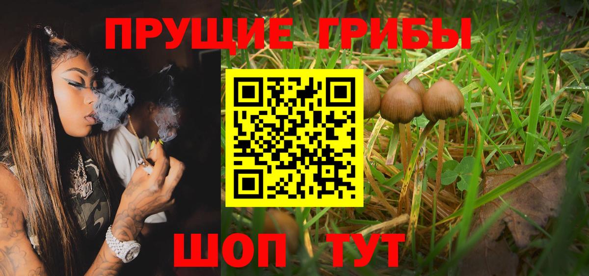 Псилоцибиновые грибы прущие грибы Фролово