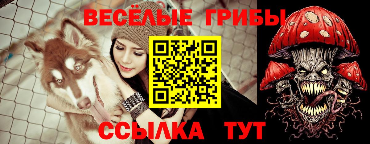 как найти закладки  Галлюциногенные грибы Cubensis  Вход с VPN  Фролово 